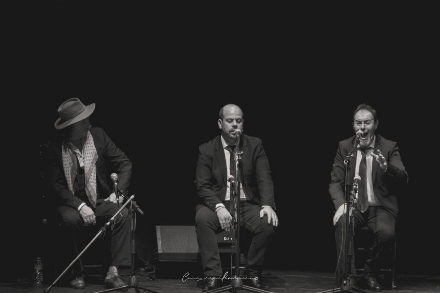 Espectáculo Flamenco. Armonía b d Juan de Juan