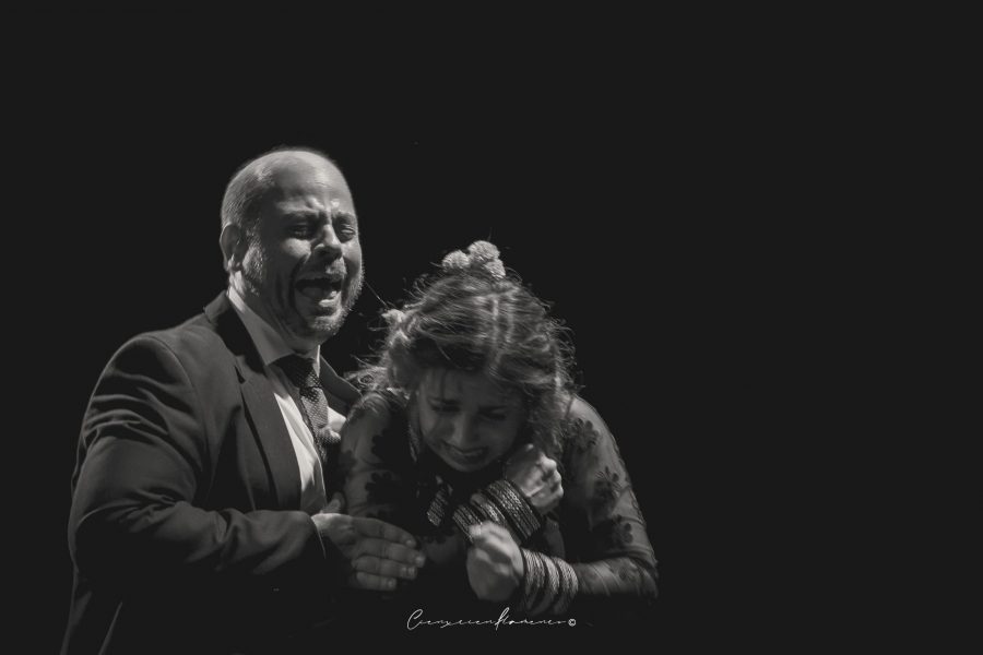 Espectáculo Flamenco. Armonía b d Juan de Juan